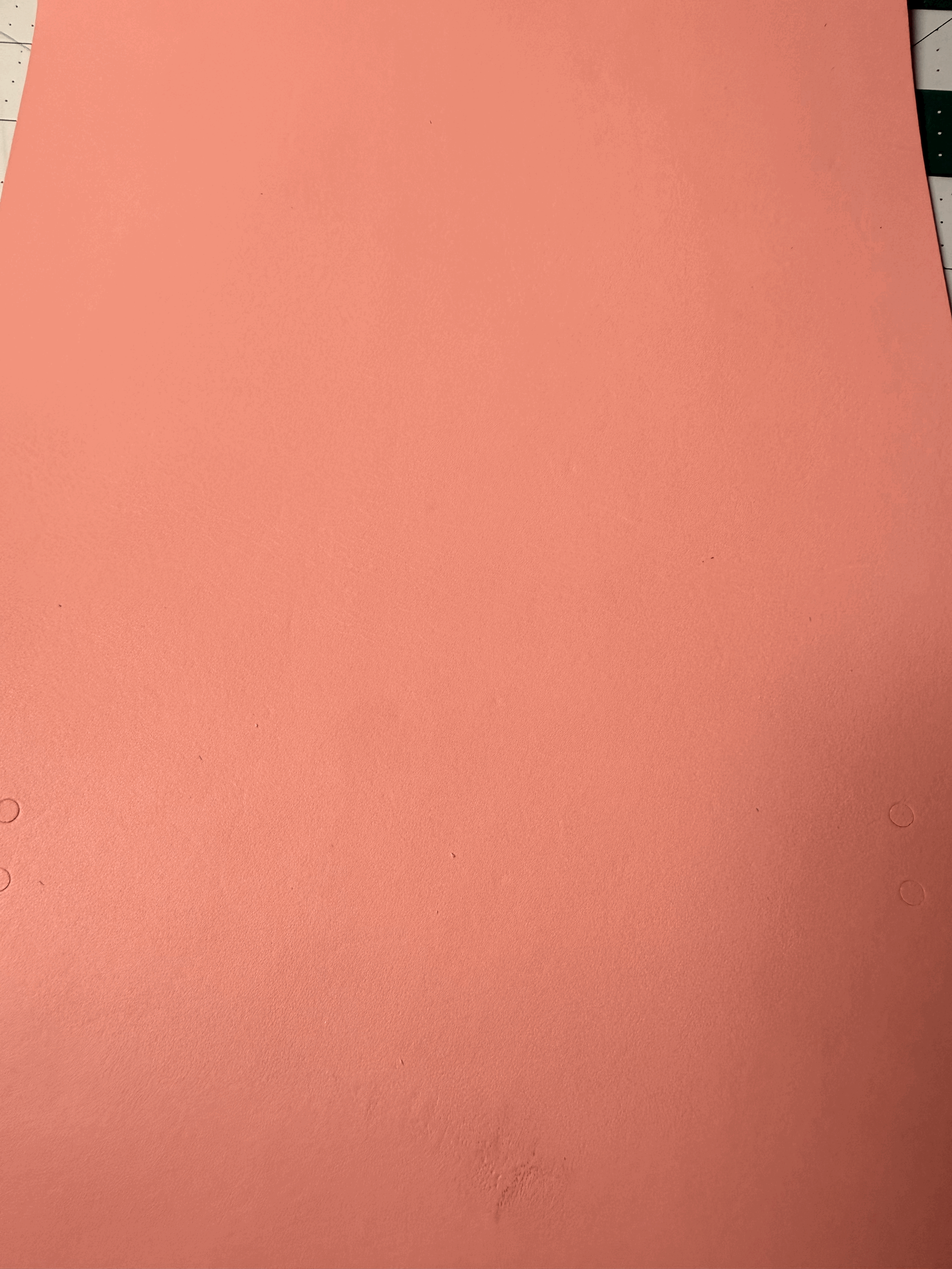 Limited Edition Rose Pink