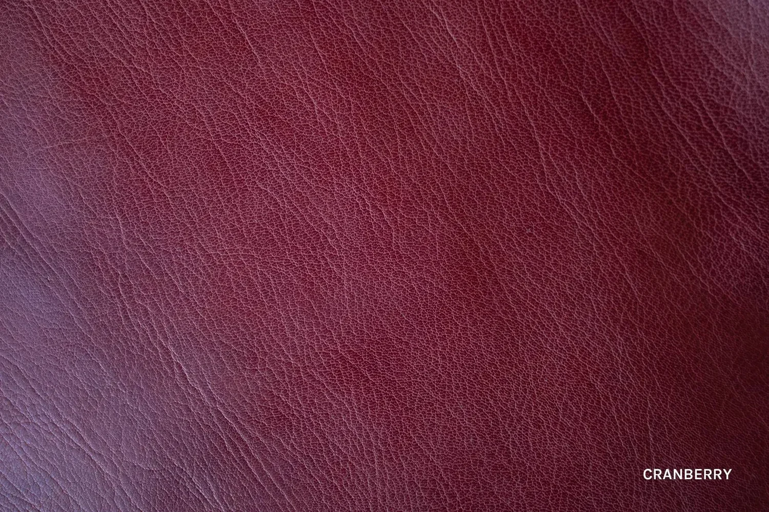 IMG_9358.WEBP