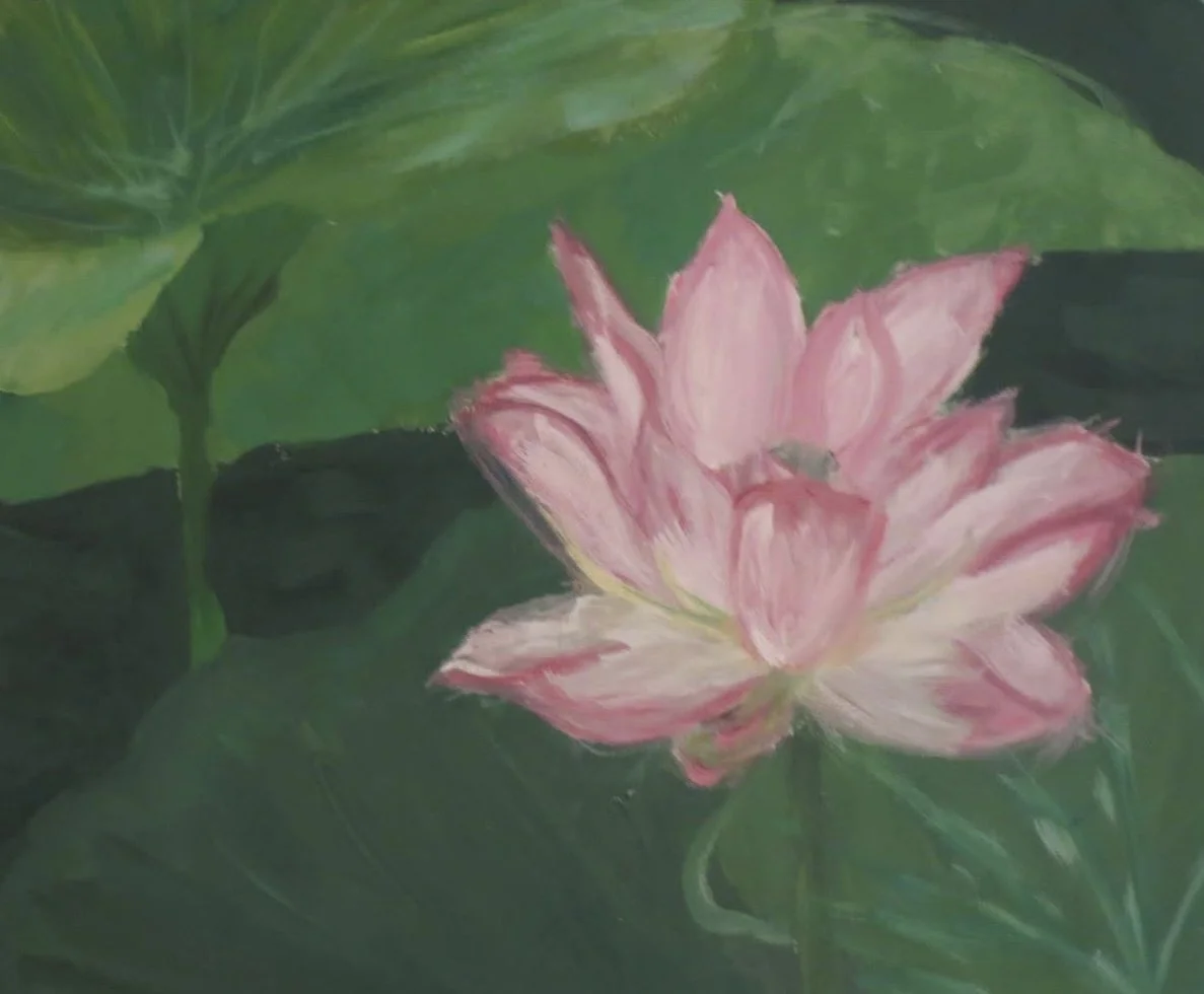 A pink lotus flower with green leaves in the background.
