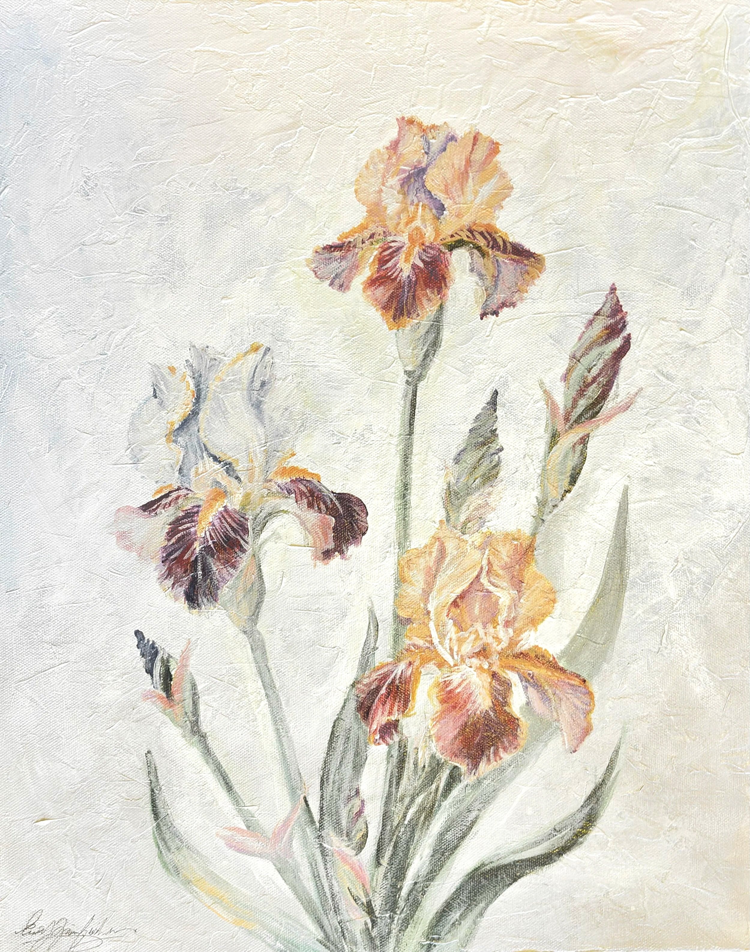 Irises fine art print