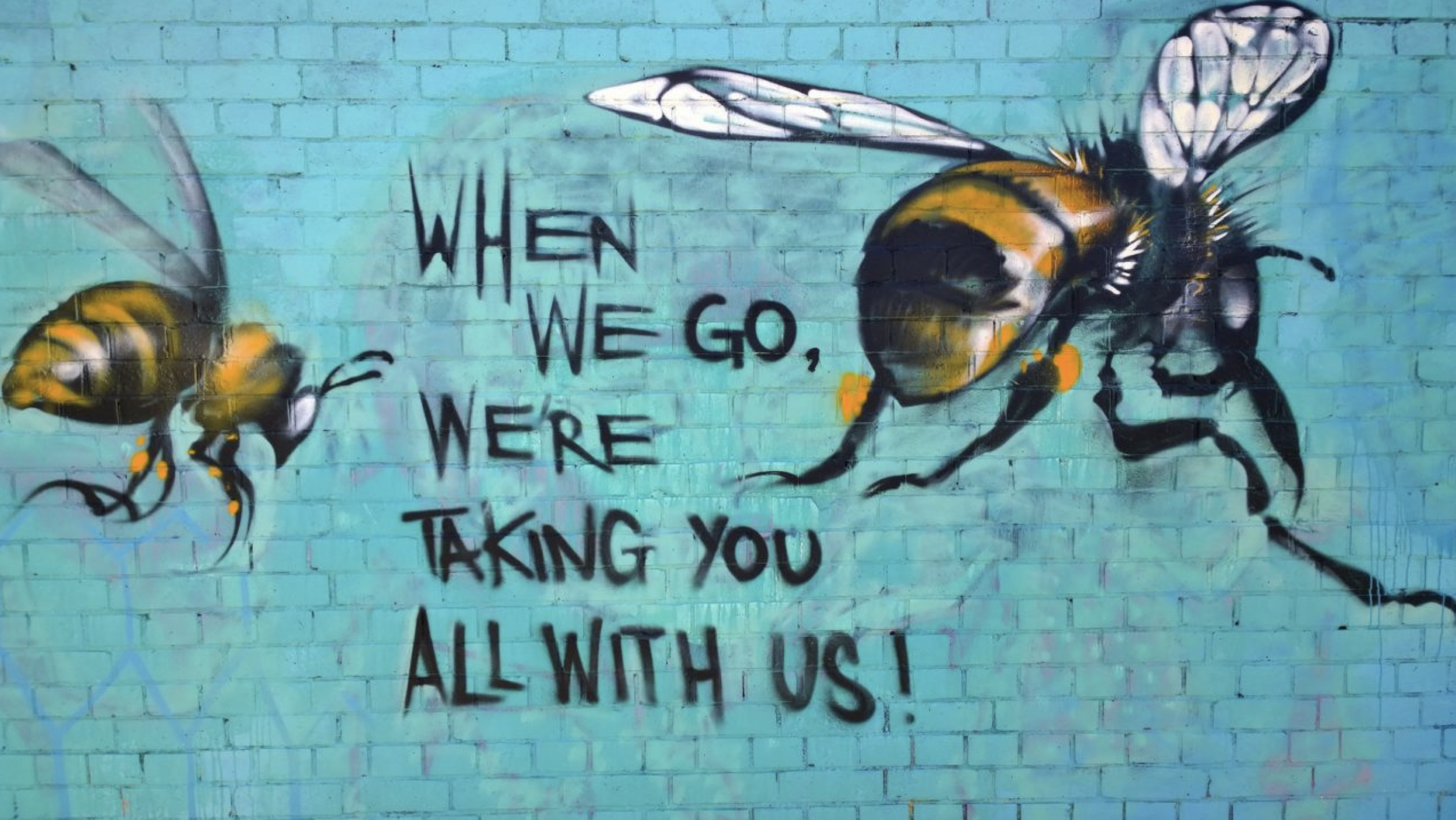 let’s talk about BEES, baby