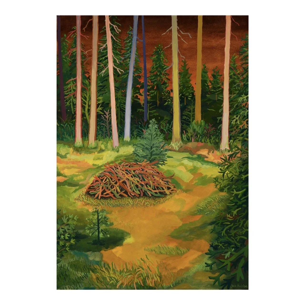 A Pile of Branches in the Forest, Stolowe Mountains, 2024