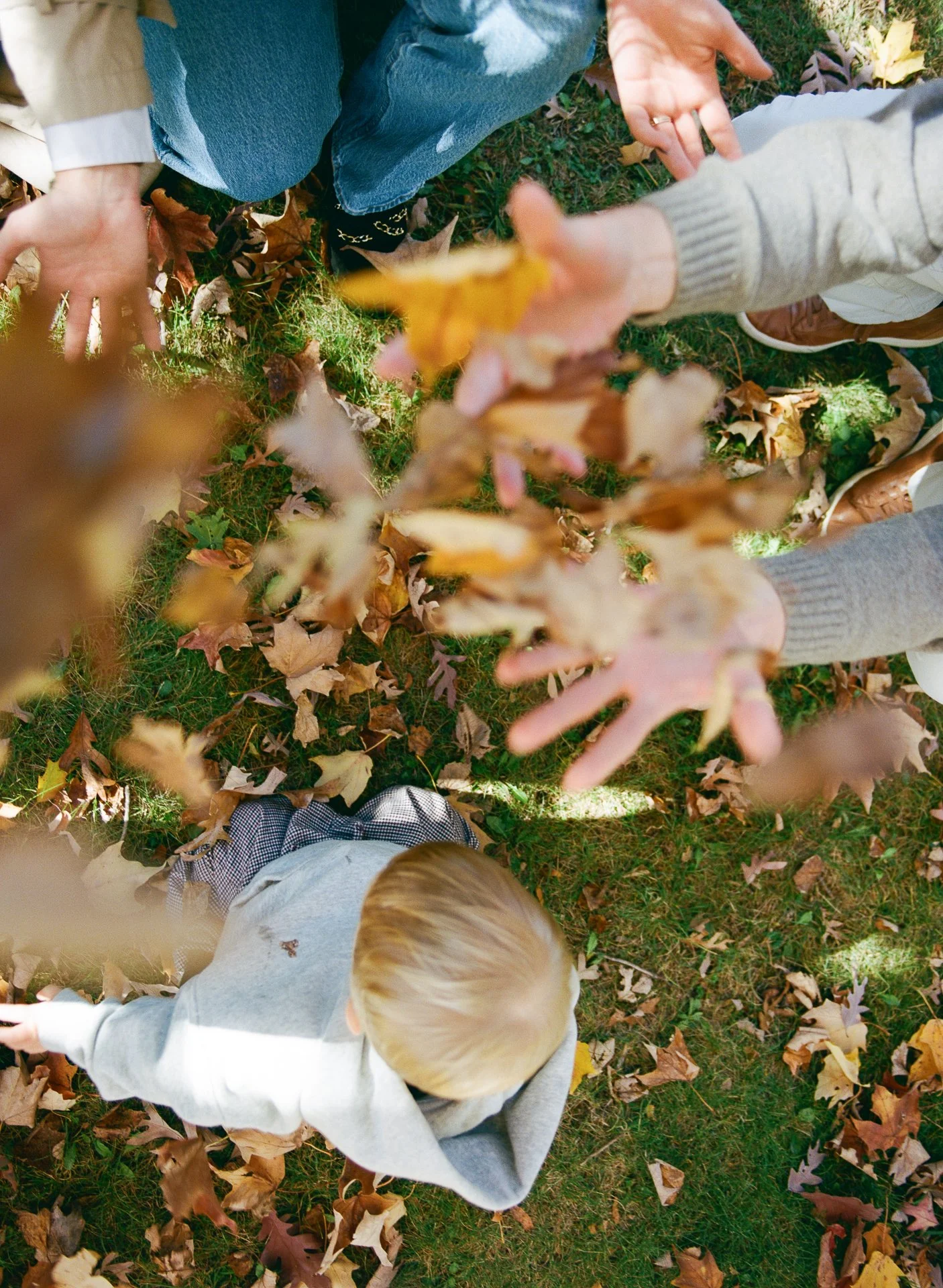 Children playing outdoors in autumn, with fallen leaves on the grass. They are reaching for and holding colorful leaves, seen from above.