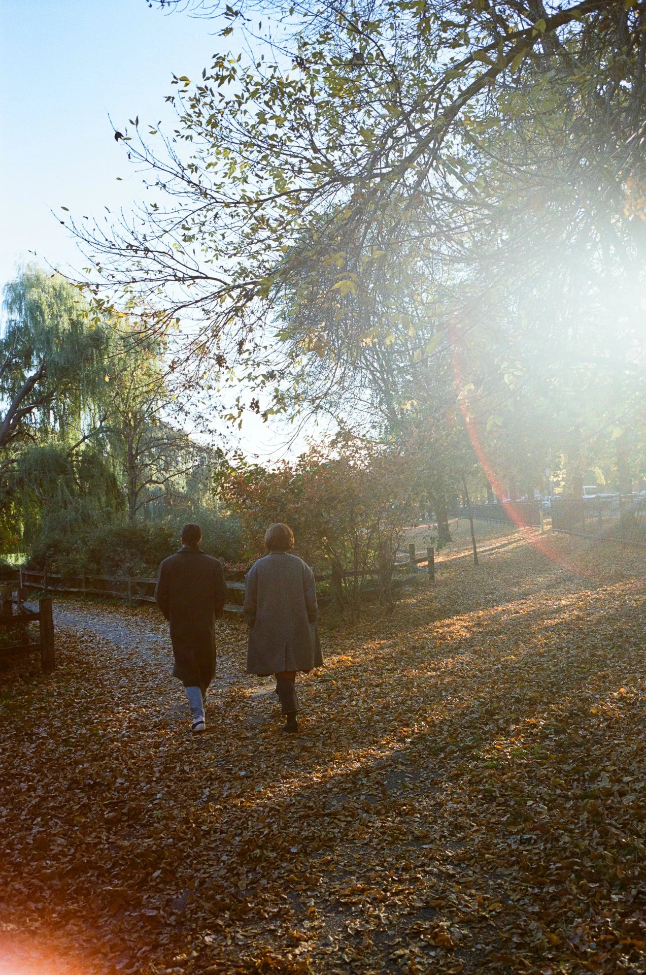 Two people walking along a leaf-covered path in a park with trees and sunlight shining through the branches.