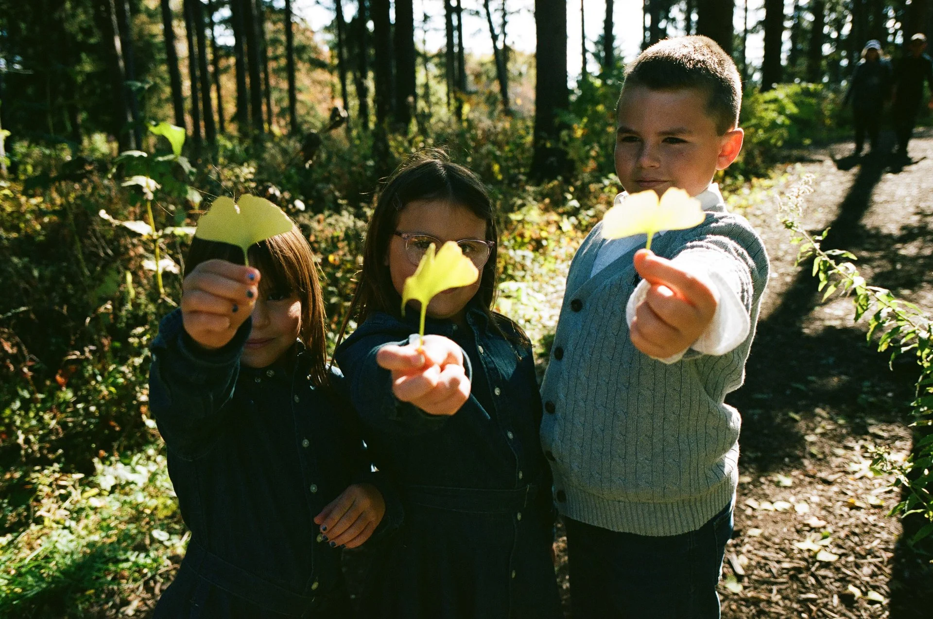Three children holding yellow leaves in a forest during daytime