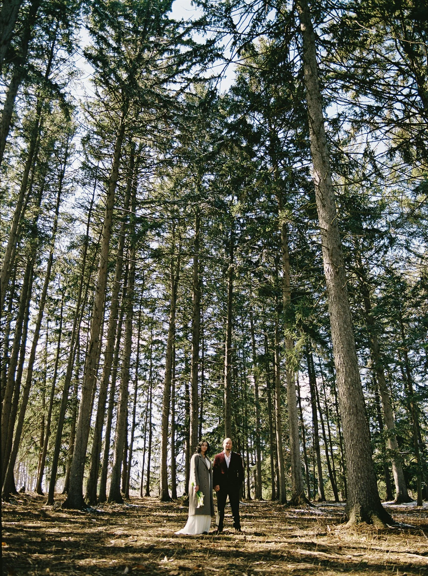A man and woman standing hand-in-hand in a dense forest of tall pine trees during daylight.