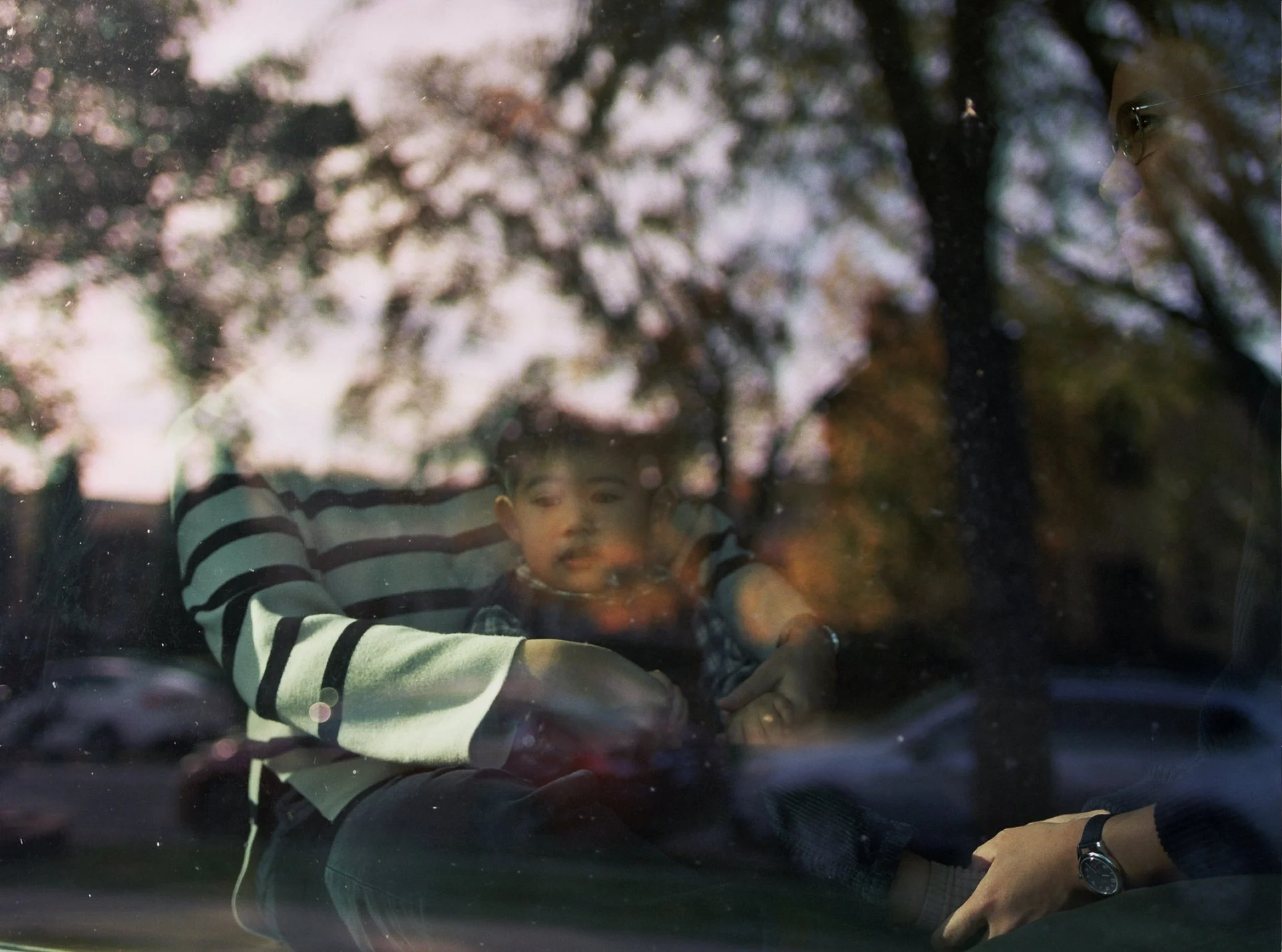 A young boy is sitting in a stroller viewed through a car window, with pink and purple blossoms and sunset reflections in the glass.