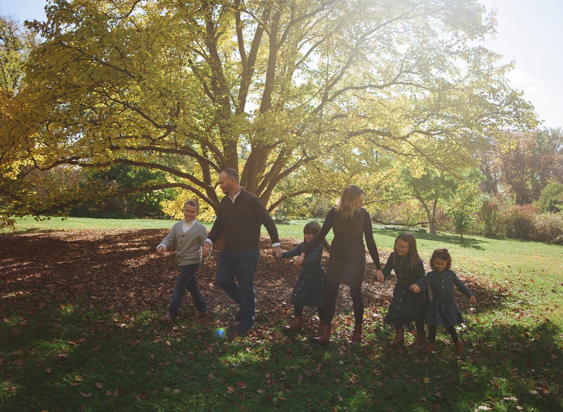 A family of six walking hand-in-hand through a park with large trees and falling leaves on a sunny autumn day.