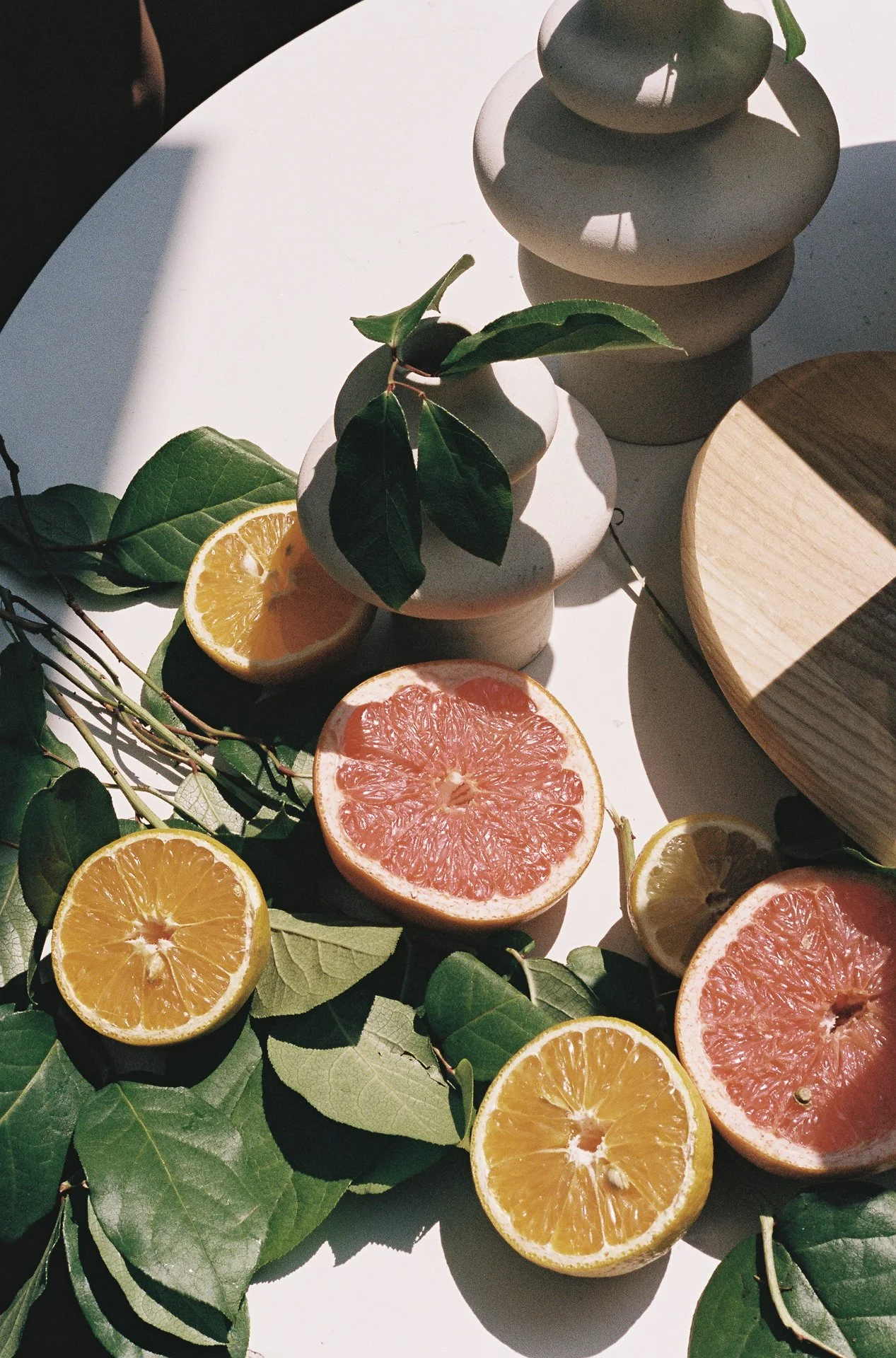 Sliced citrus fruits, including lemons and grapefruits, arranged on green leaves on a white surface with a shadowed background.