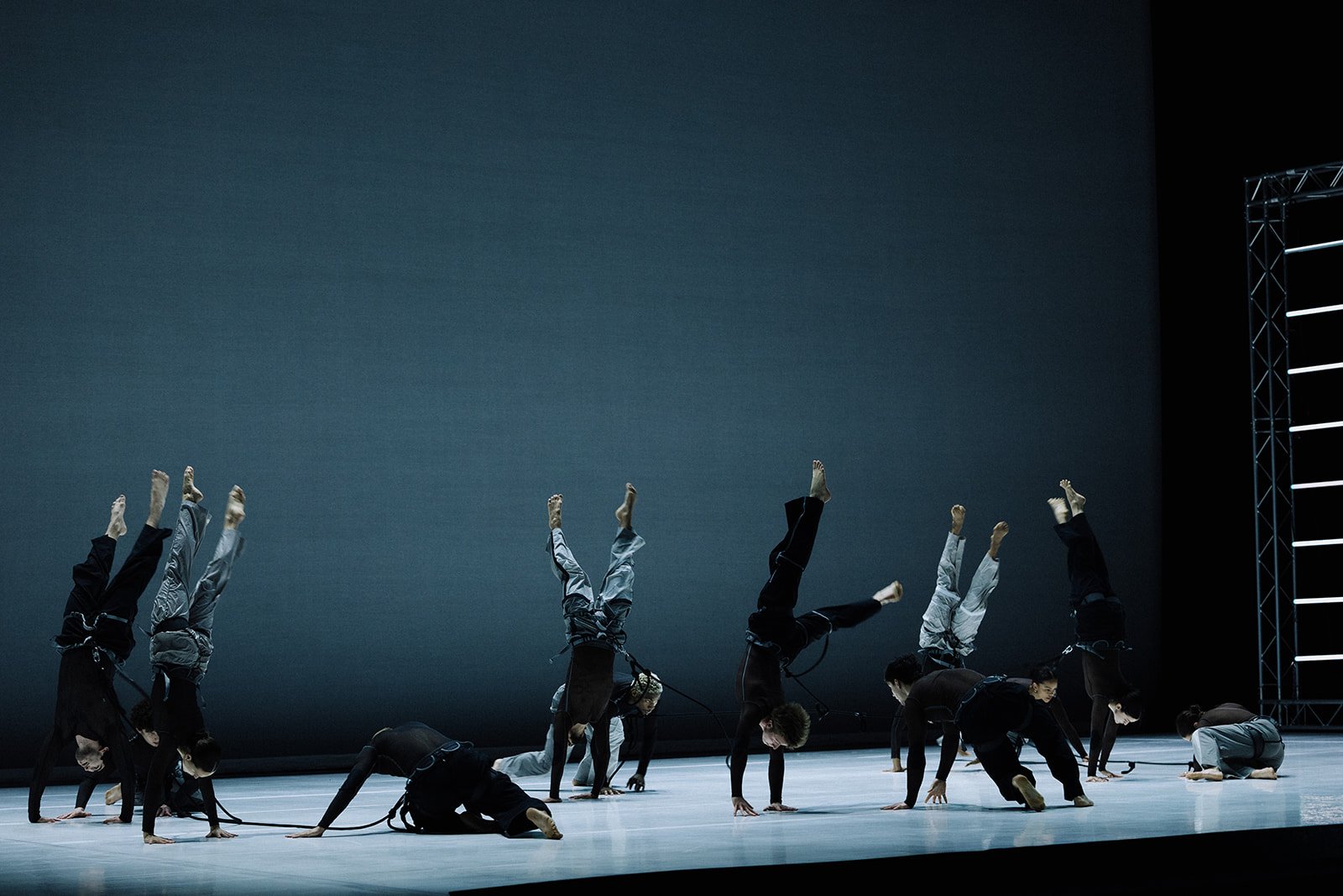 SACRA choreography by Andrea Peña, choreographer and artistic director of Andrea Peña & Artists, for BalletBC as part of the shared evening ZENITH.