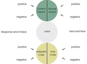 A-functional-model-of-transactional-analysis-Source-Stewart-Joines-2016.png