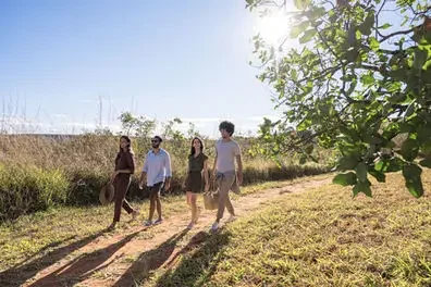Four people walking on a grassy trail outdoors on a sunny day, with trees and a clear sky in the background.