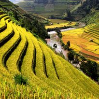Terraced rice fields on a hillside with a river and valley below