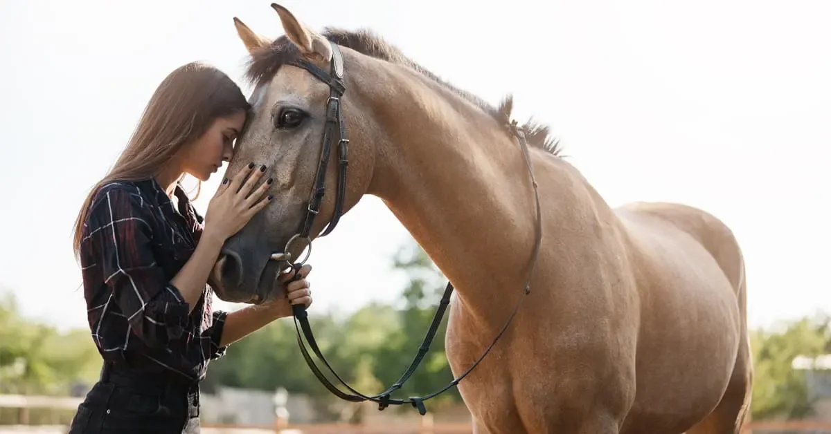 	Emotional intelligence and somatic awareness practices at AhaHub.