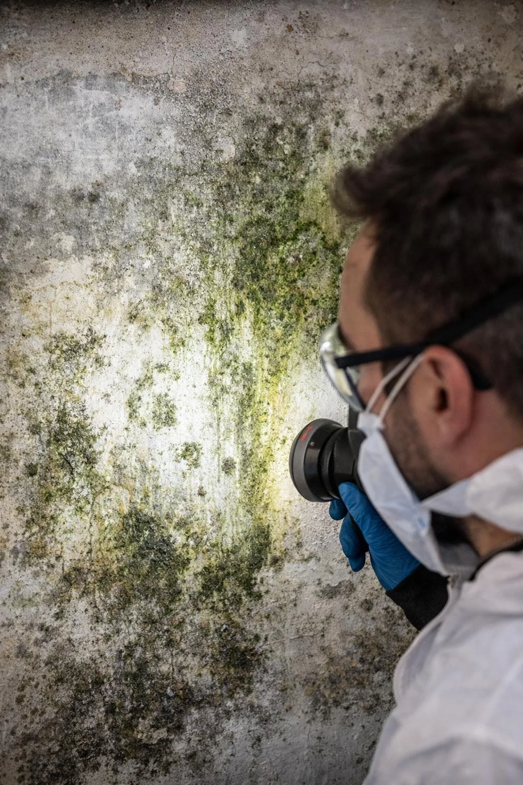 Mold Assessment & Remediation Suport