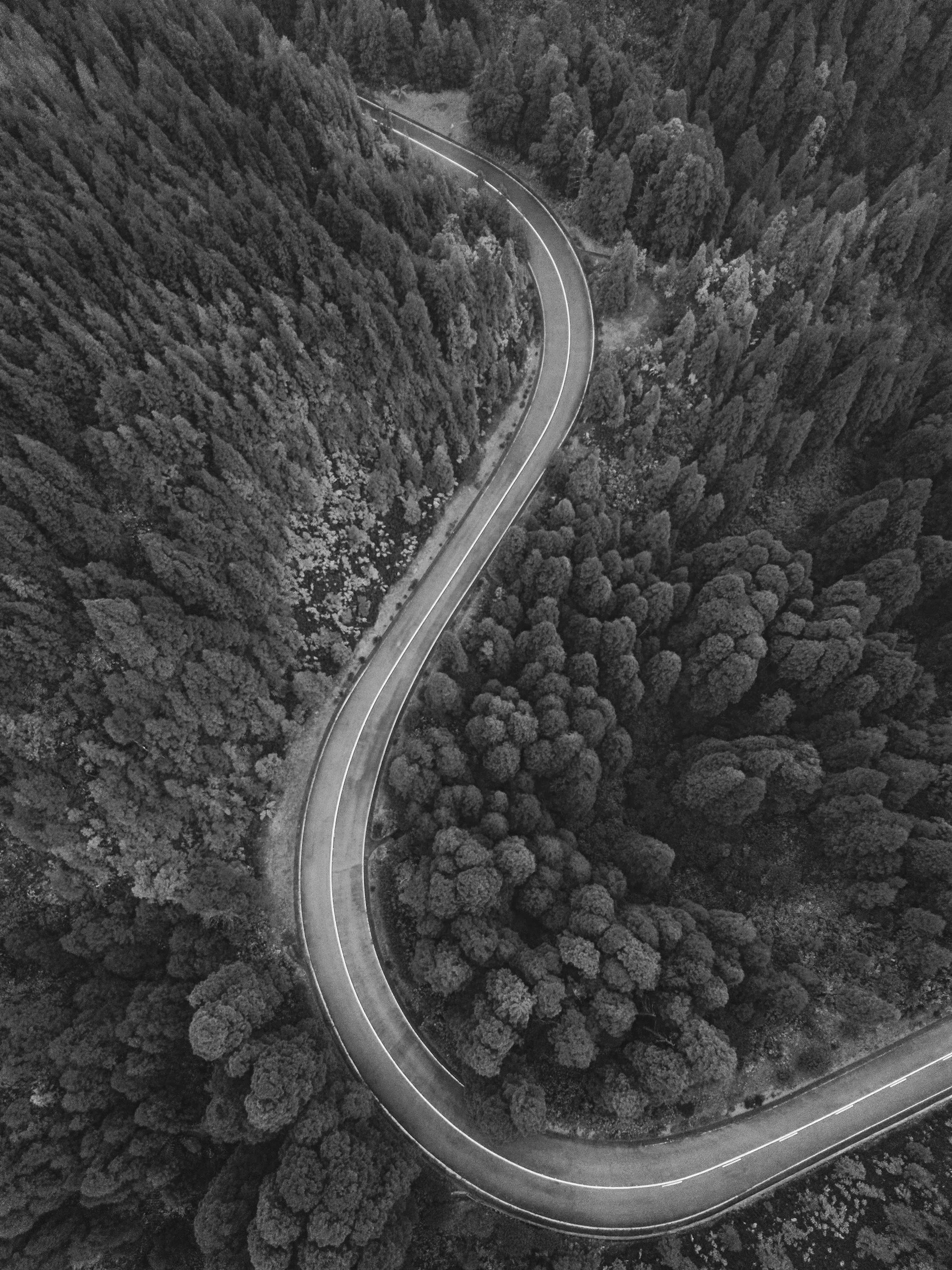 Black and white aerial view of a winding mountain road surrounded by dense forest.