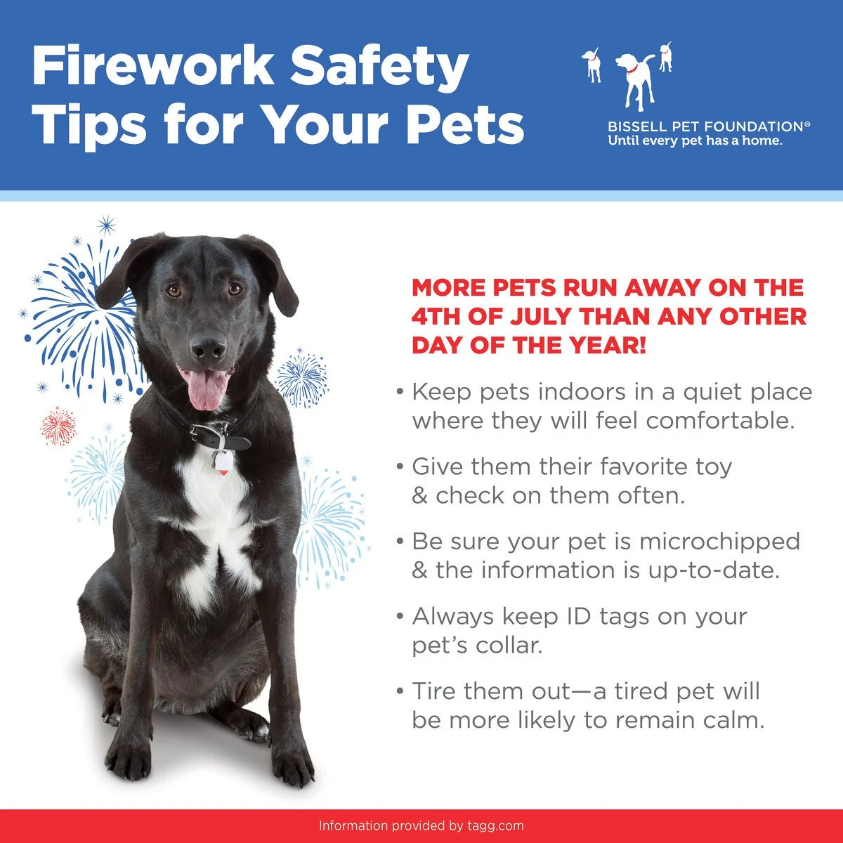 2023_Social_Firework_Pet_Safety_V3.jpg