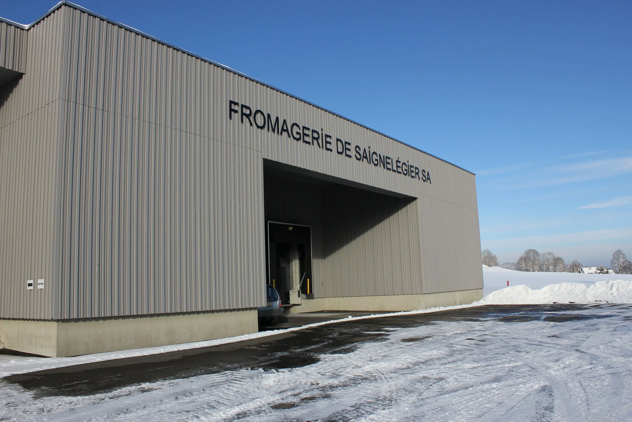 IMG_2727.jpg
