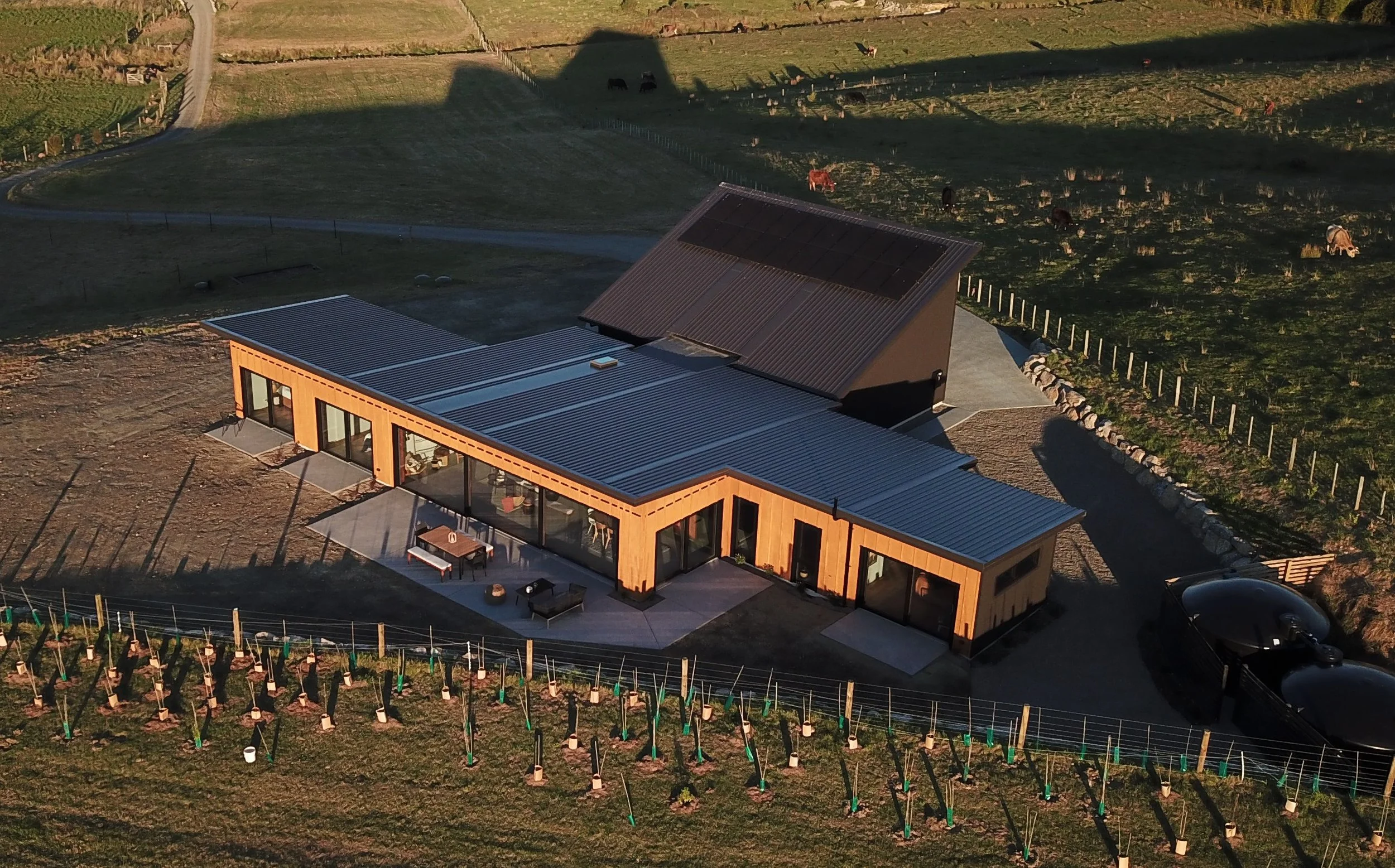A modern house with large glass windows, situated in a rural area with fields and pastures, some cows, a vineyard, and solar panels on the roof.