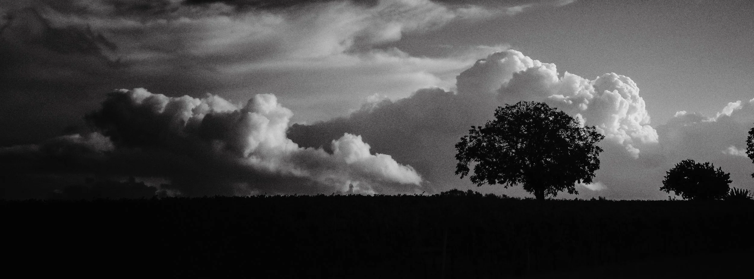 30102023-12 nove-120 copie.jpg