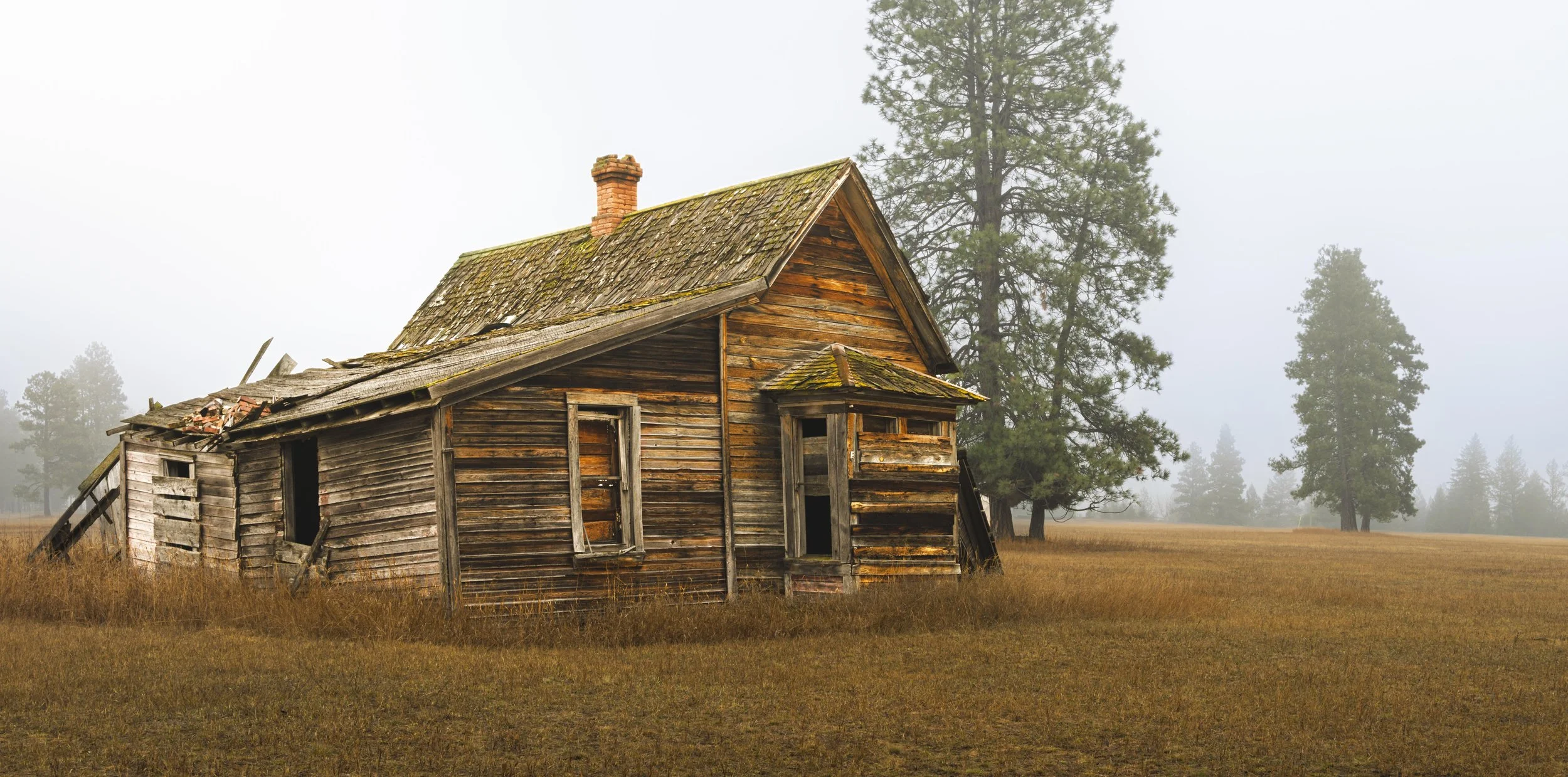 Old, abandoned wooden house with broken windows and collapsed roof in a rural field with tall grass, surrounded by trees and foggy weather.