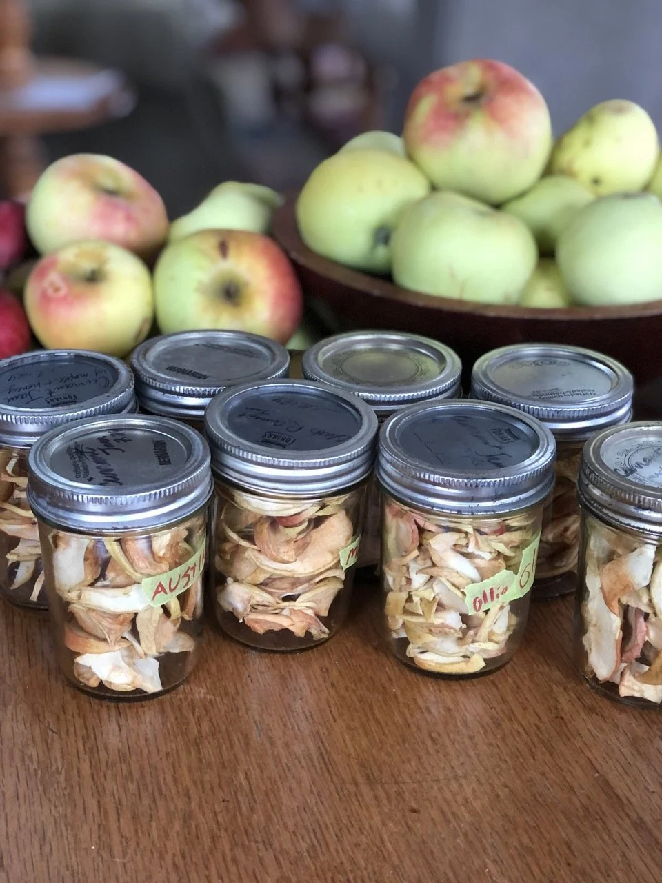 Jars of dried apple slices arranged on a wooden table, with fresh apples in a bowl behind them.