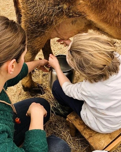 ursa-school-24 Medium.jpeg