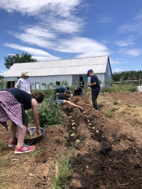 Group of people planting seedlings in a garden near a barn