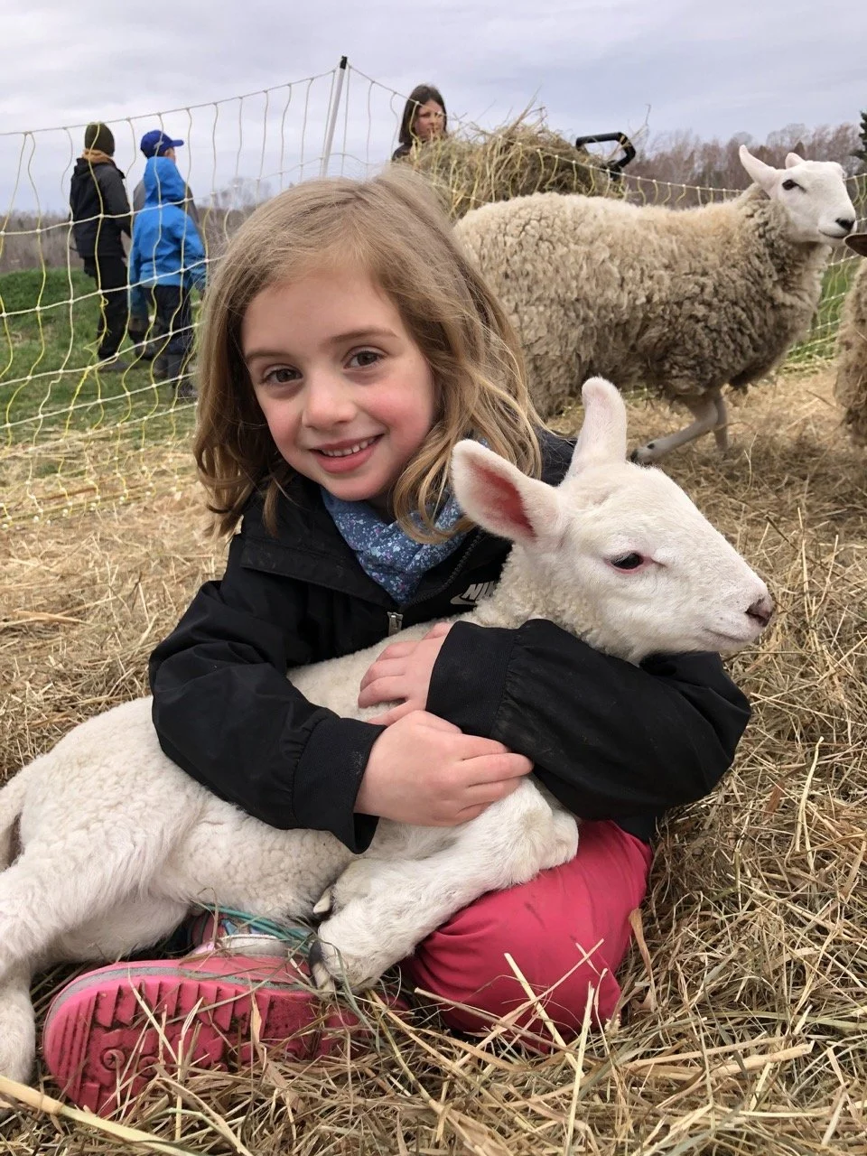 lamb-ursa-farm Large.jpeg