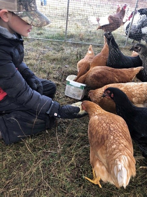 ursa-school-6 Medium.jpeg