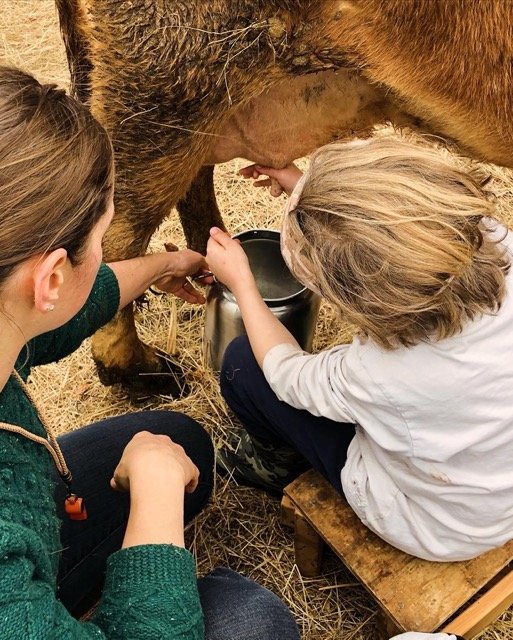 ursa-school-24 Medium.jpeg