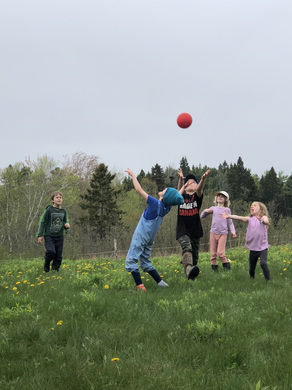 game-ursa-farm Large.jpeg