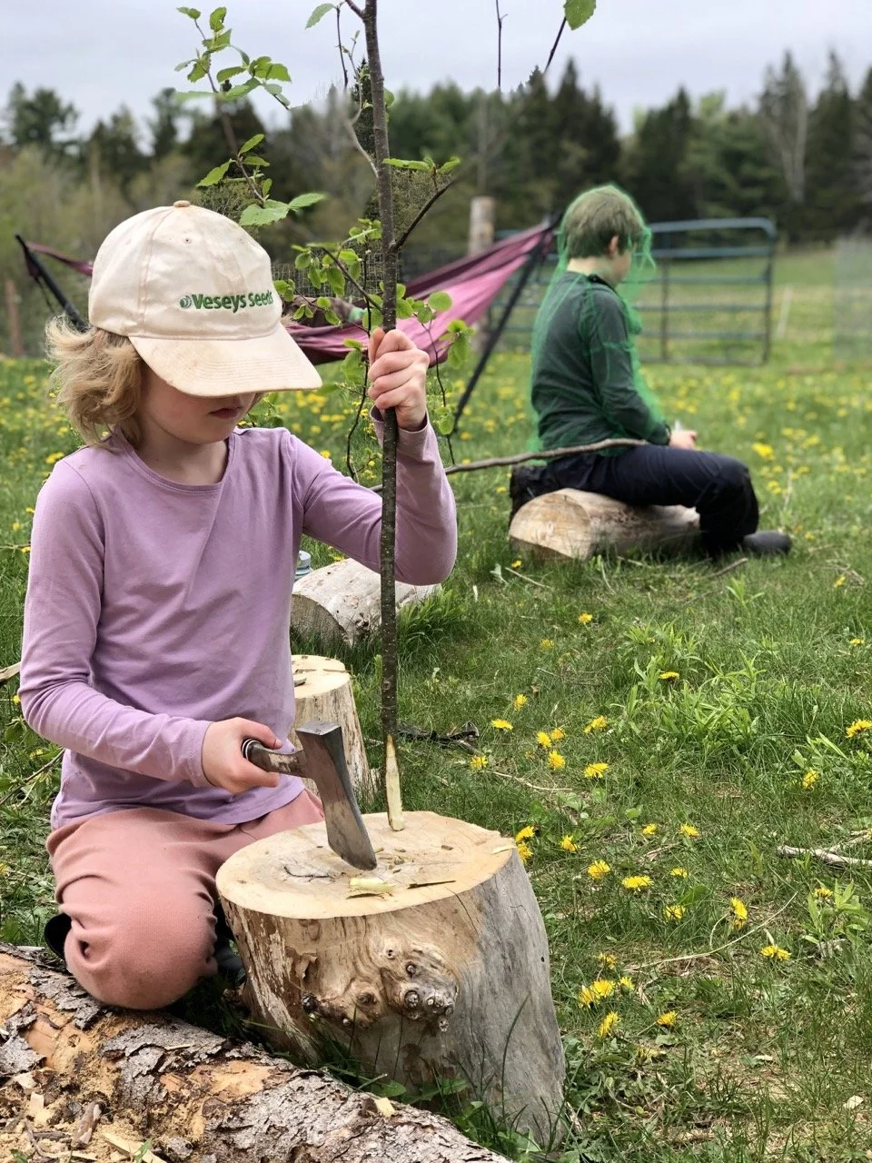 axe-ursa-farm Large.jpeg