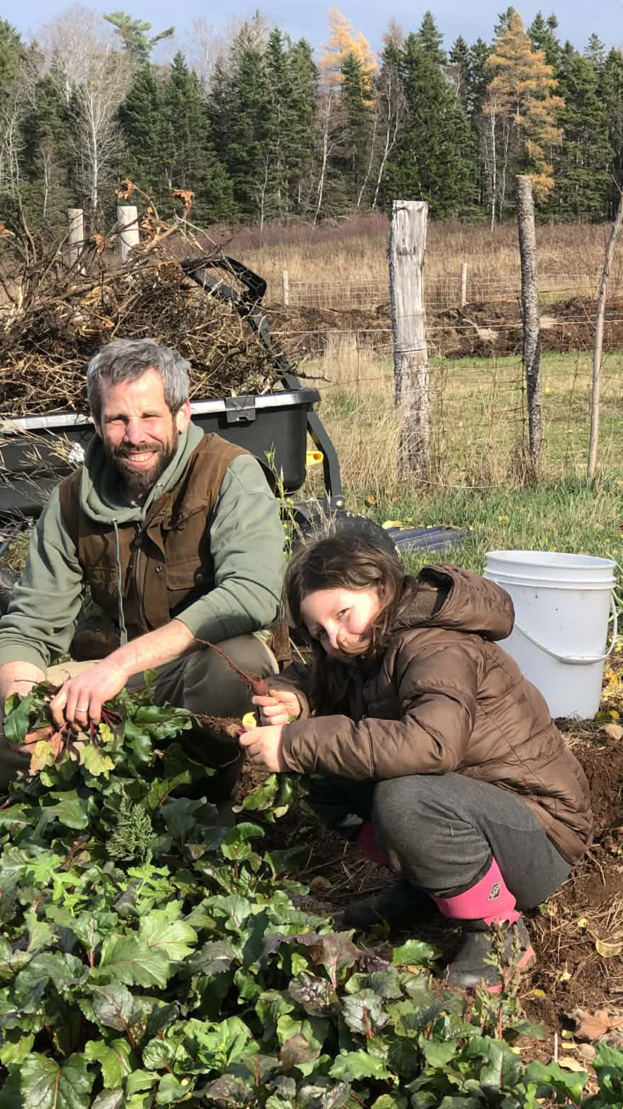 A man and a young girl planting a flowering plant in a garden outdoors on a sunny day. The background shows a field, fence, and trees.
