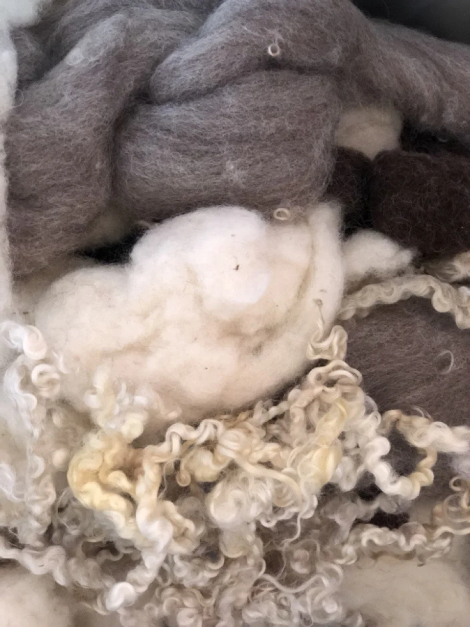 Close-up of wool fibers and raw wool that has been shorn from sheep.