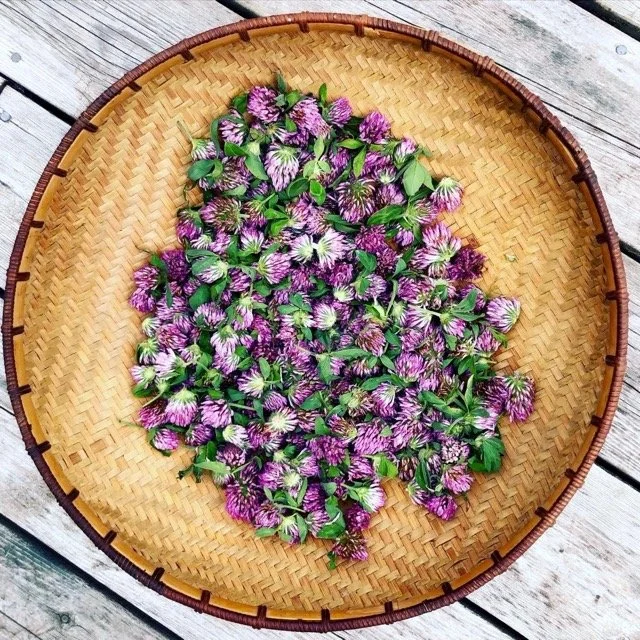 A wooden round tray filled with purple and green clovers on a wooden surface.