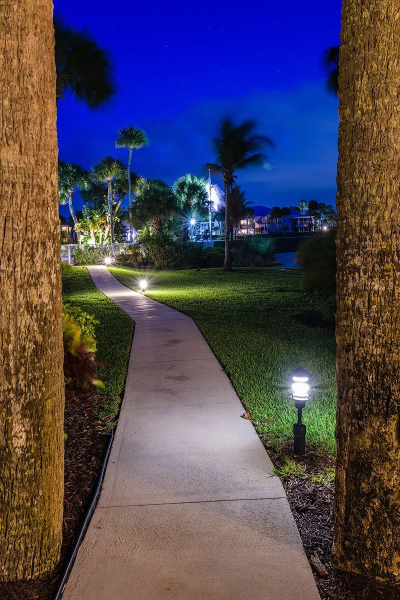 Nighttime view of a curved sidewalk flanked by palm trees and illuminated garden lights, with houses and a body of water visible in the background under a dark blue sky.