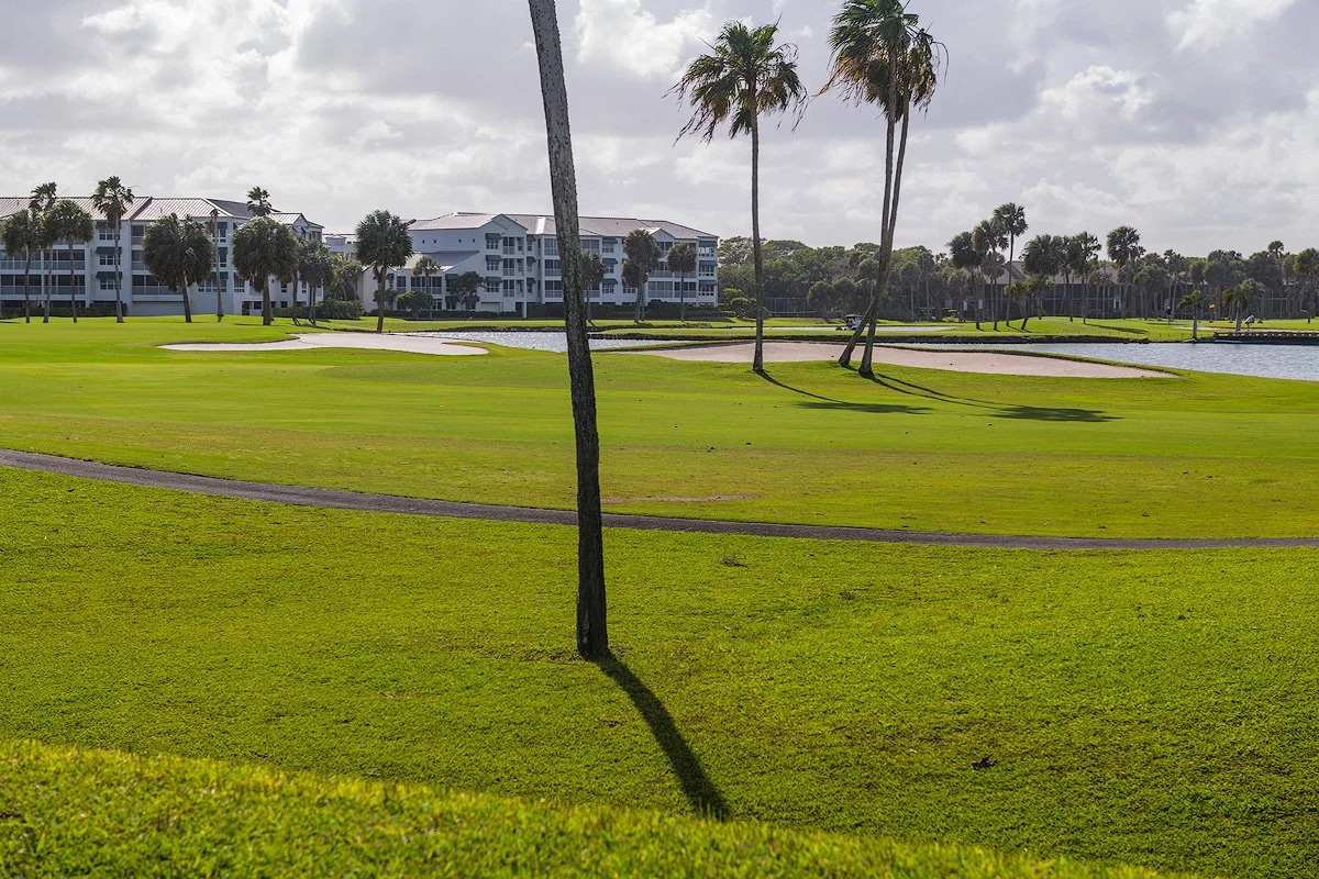 A scenic view of a golf course with lush green grass, scattered palm trees, water features, and residential buildings in the background under a cloudy sky.