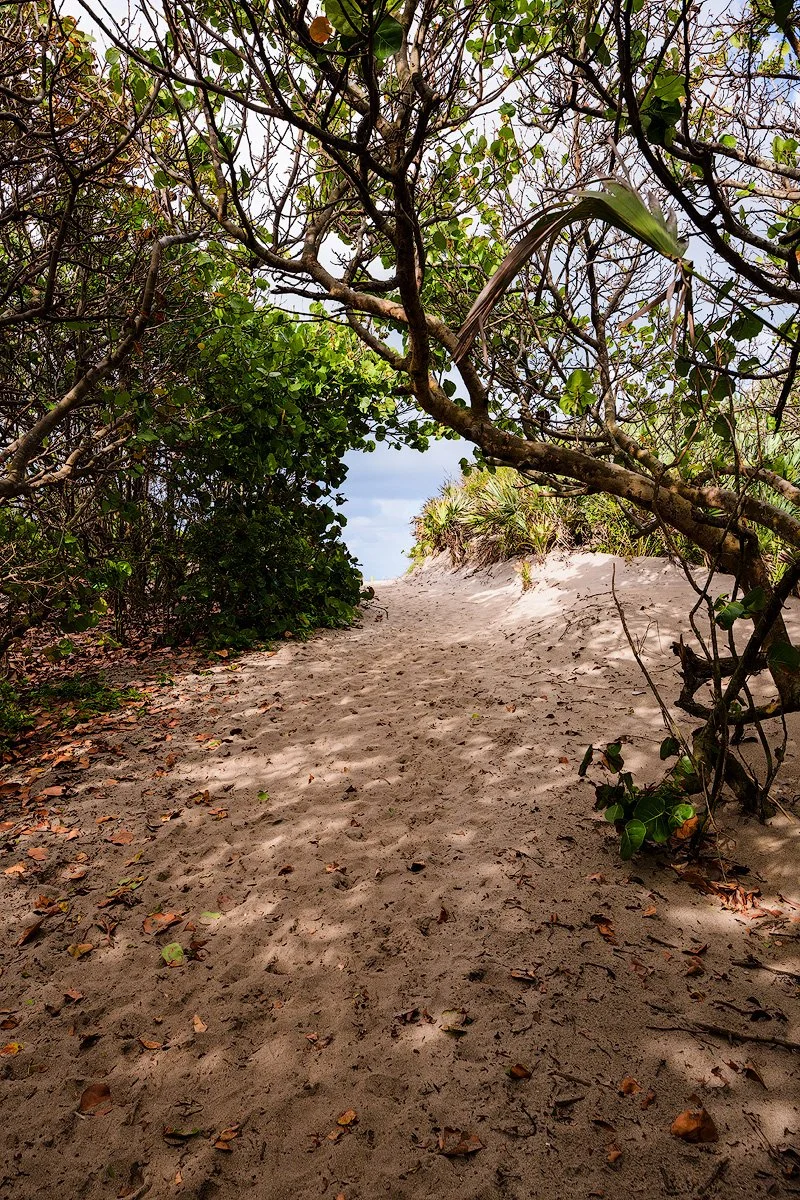 A sandy beach pathway lined with leafy green bushes and trees on either side, leading towards the ocean in the distance, with partly cloudy sky overhead.