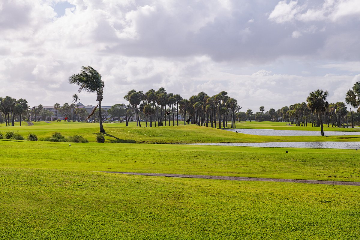 A scenic view of a golf course with lush green grass, tall palm trees, water hazards, and a partly cloudy sky.
