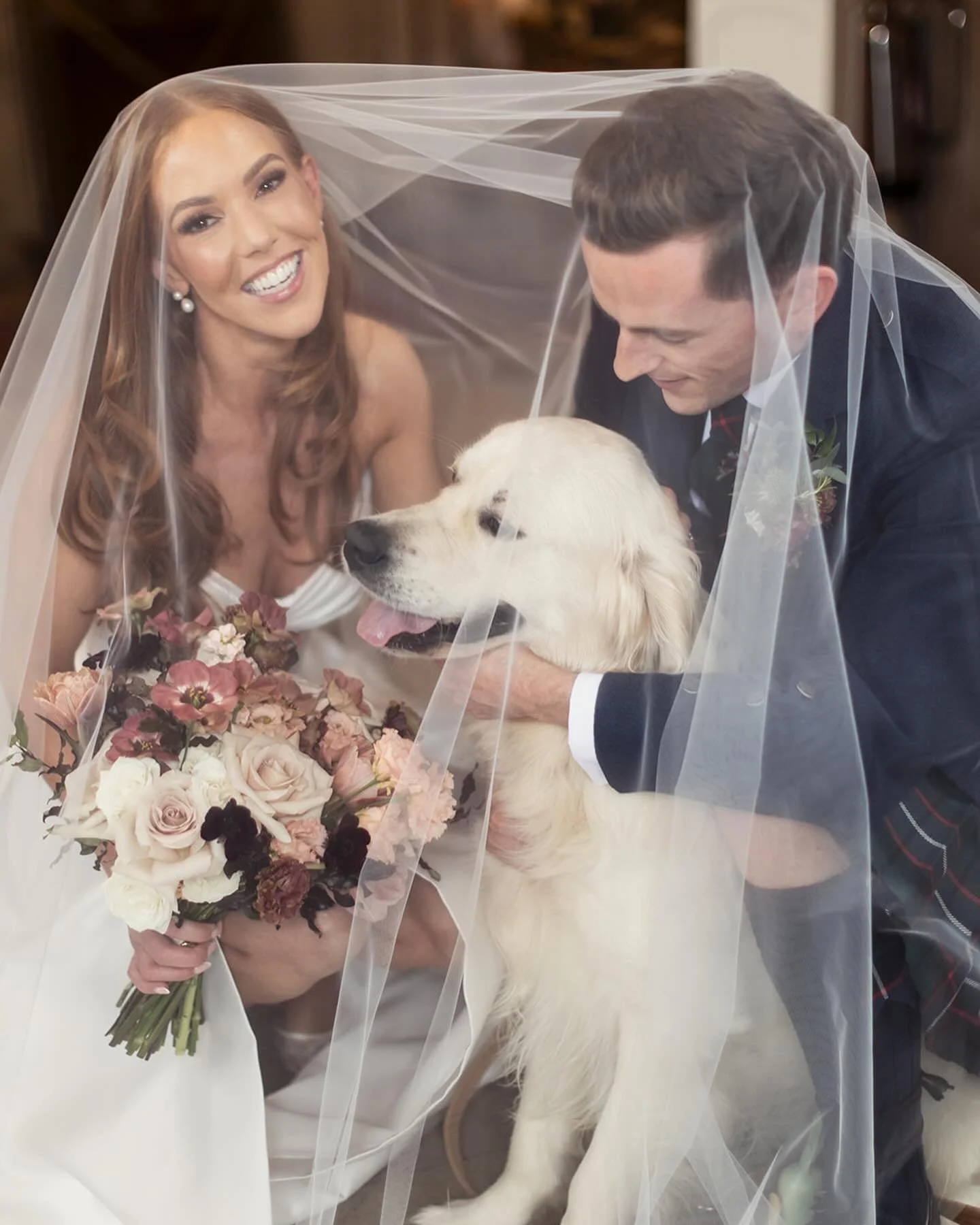 A moment for the guest of honour at Vic and Fraser&rsquo;s wedding - the handsome Angus 🤎

Memories to treasure captured beautifully by 
@craigandevasanders 🐾✨

@rowallanevents 

#theposysisters #scottishwedding #dogsatweddings #rowallancastle #row