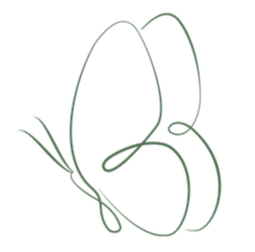Simple line drawing of a butterfly with symmetrical wings and antennae.