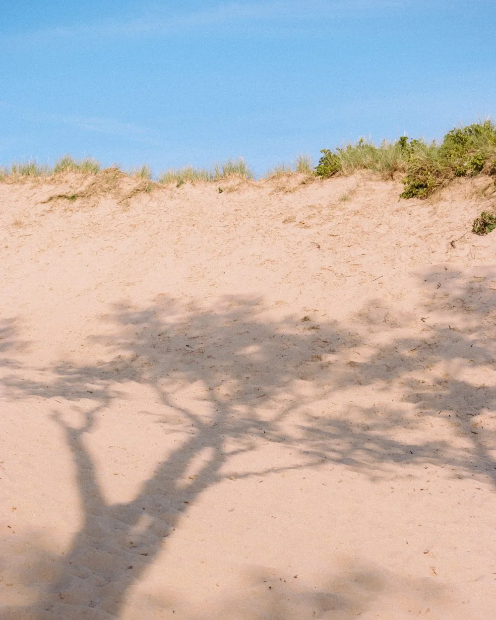 Glen Arbor, Michigan