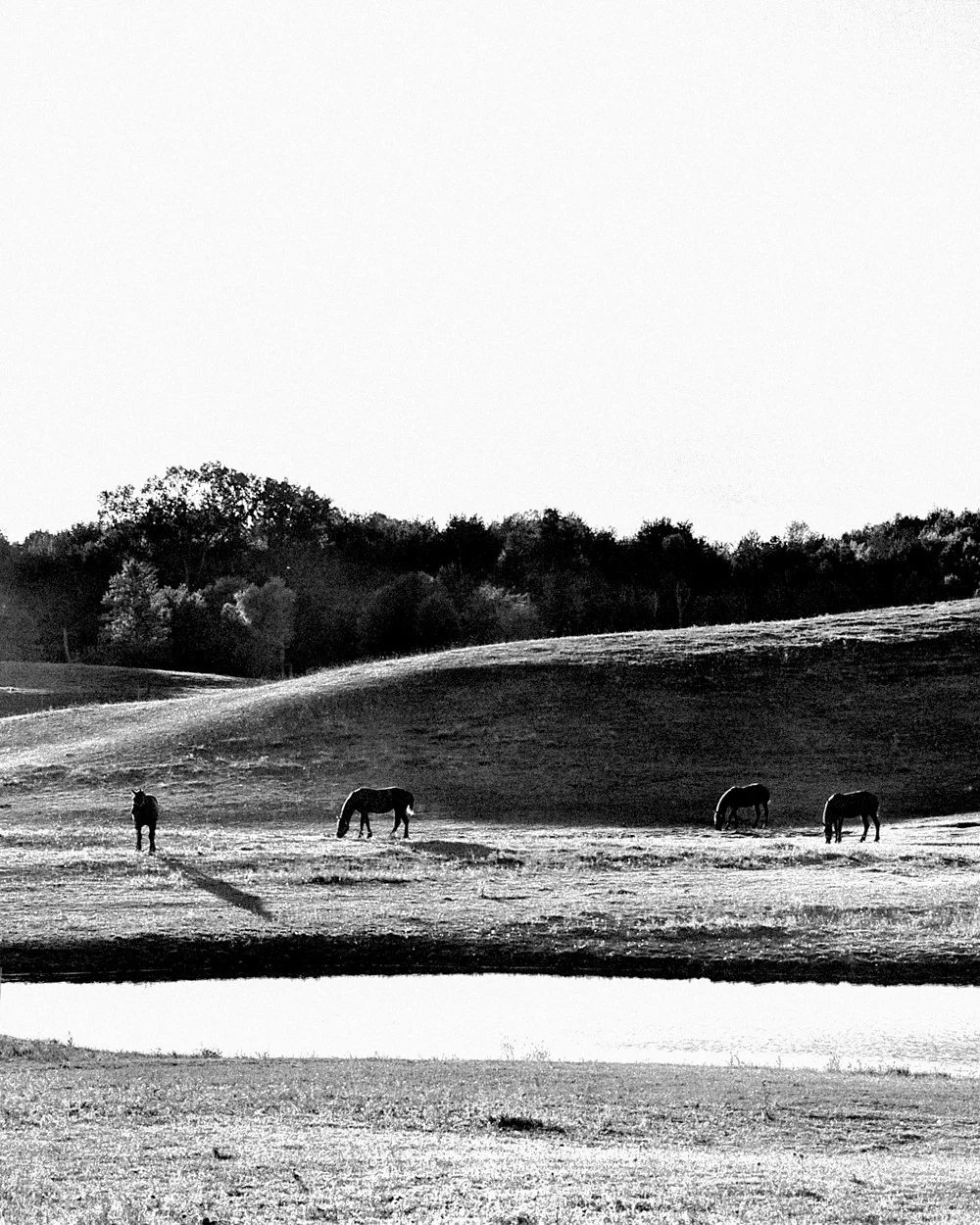 Silverwood, Michigan