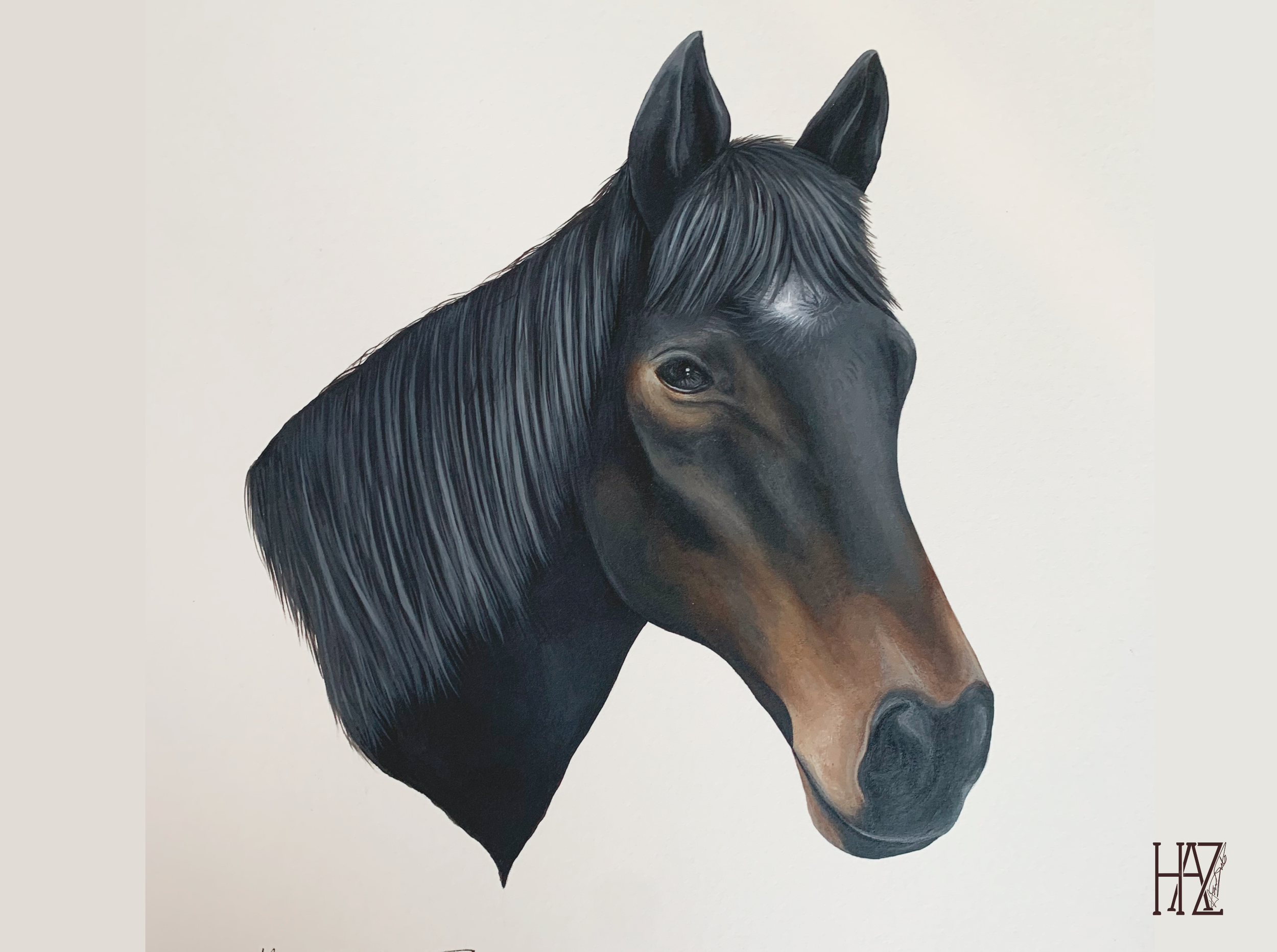 A realistic painting of a horse's head with a black mane on a white background.