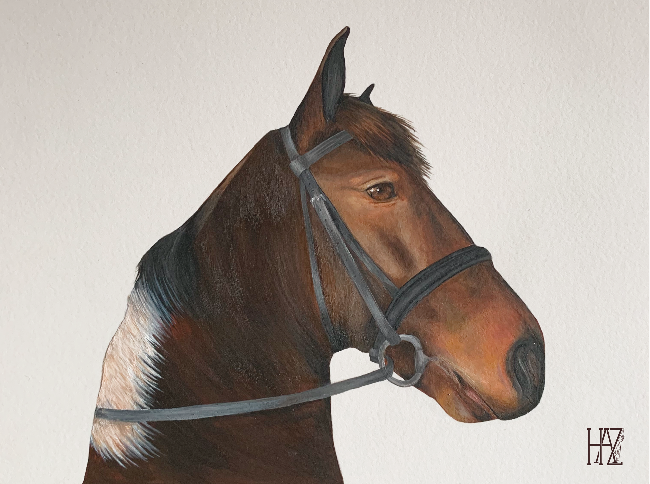 Portrait of a realistic brown horse with a bridle against a plain background.