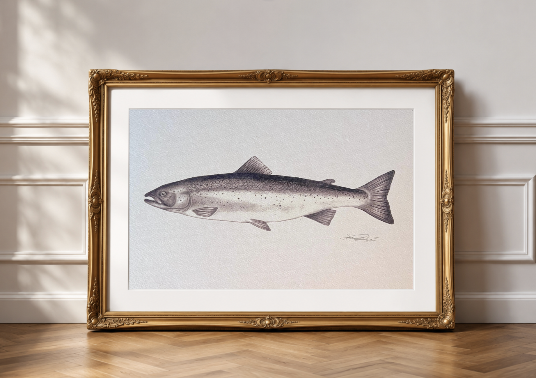 Returning Tide: Salmon Pencil Print