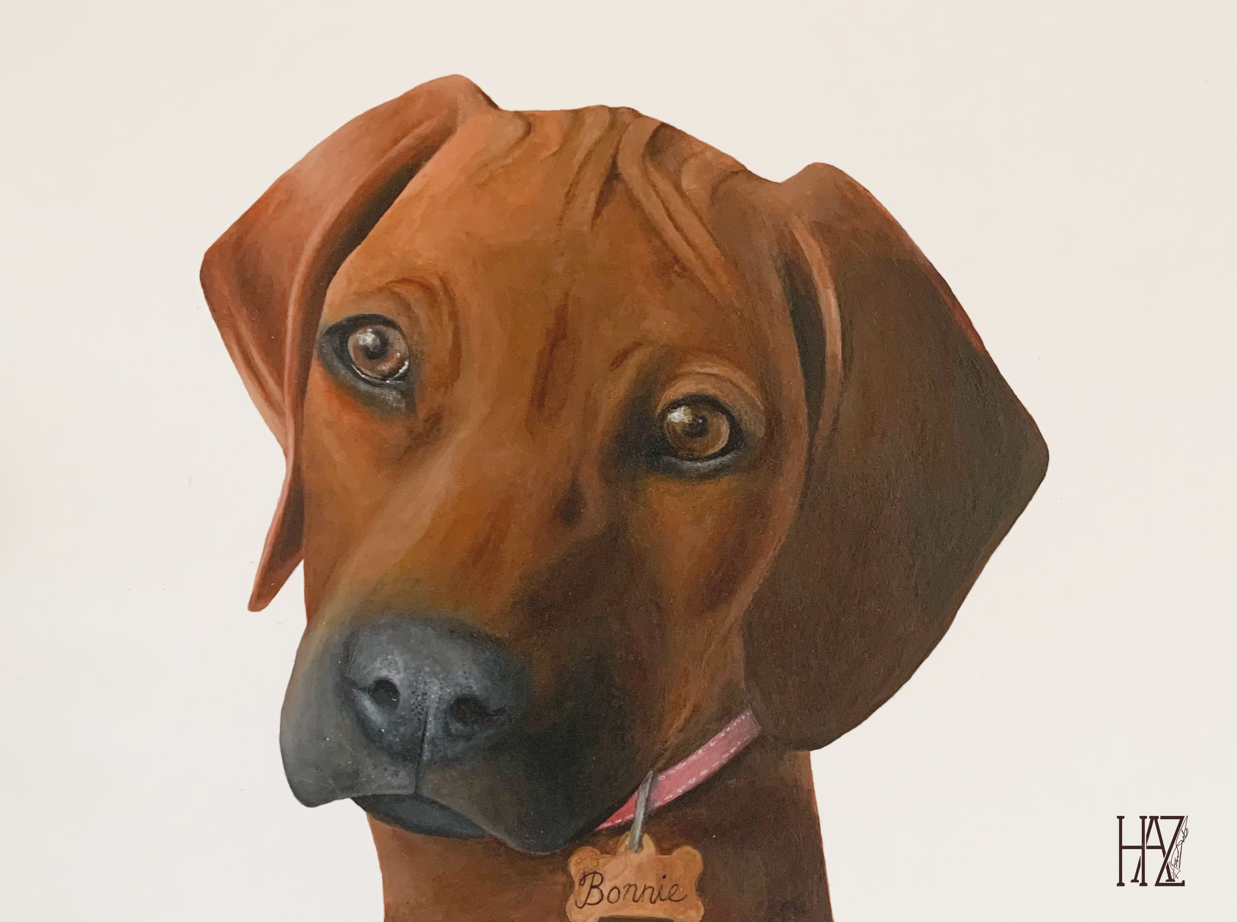 Portrait of a brown dog with a pink collar and a tag that says Bonnie, against a plain background, detailed fur and expressive eyes.