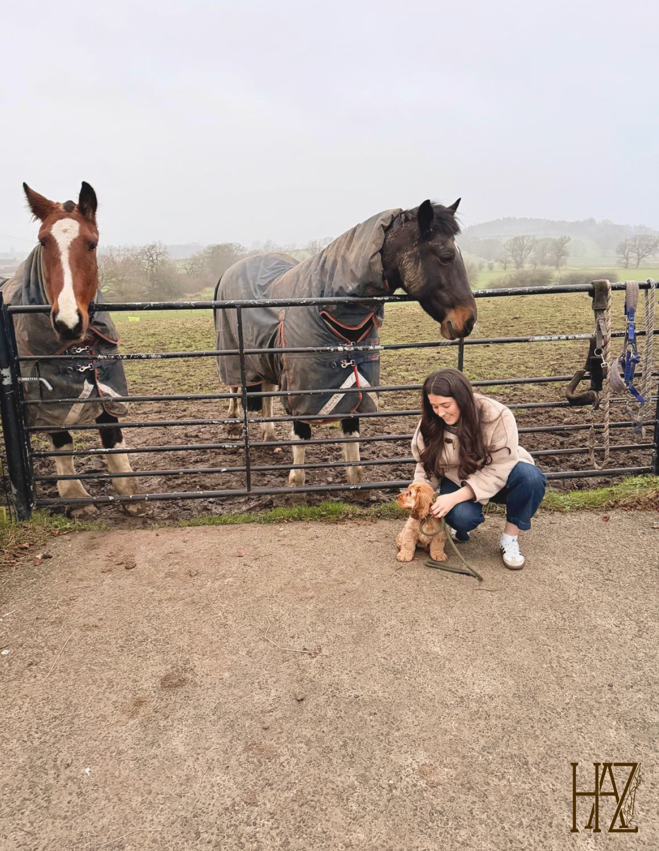 A woman crouching down and petting a small brown puppy, in front of a metal fence with two horses wearing raincoats behind it. The horses are in a muddy field, and the woman is smiling. The sky is overcast.