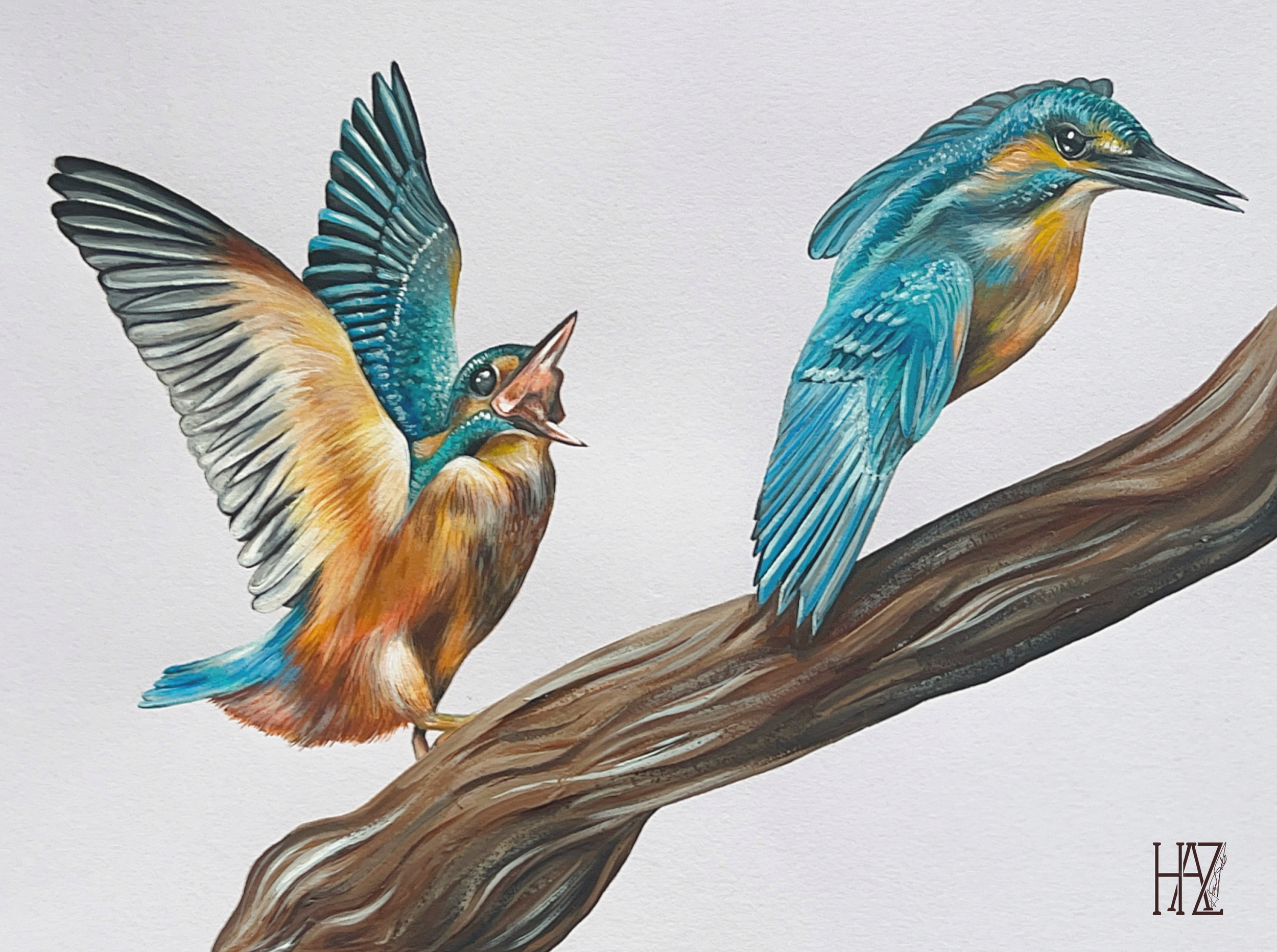 A painting of two kingfisher birds on a branch, one with wings spread and beak open, the other perched with a closed beak, both in vibrant blue and orange colors.